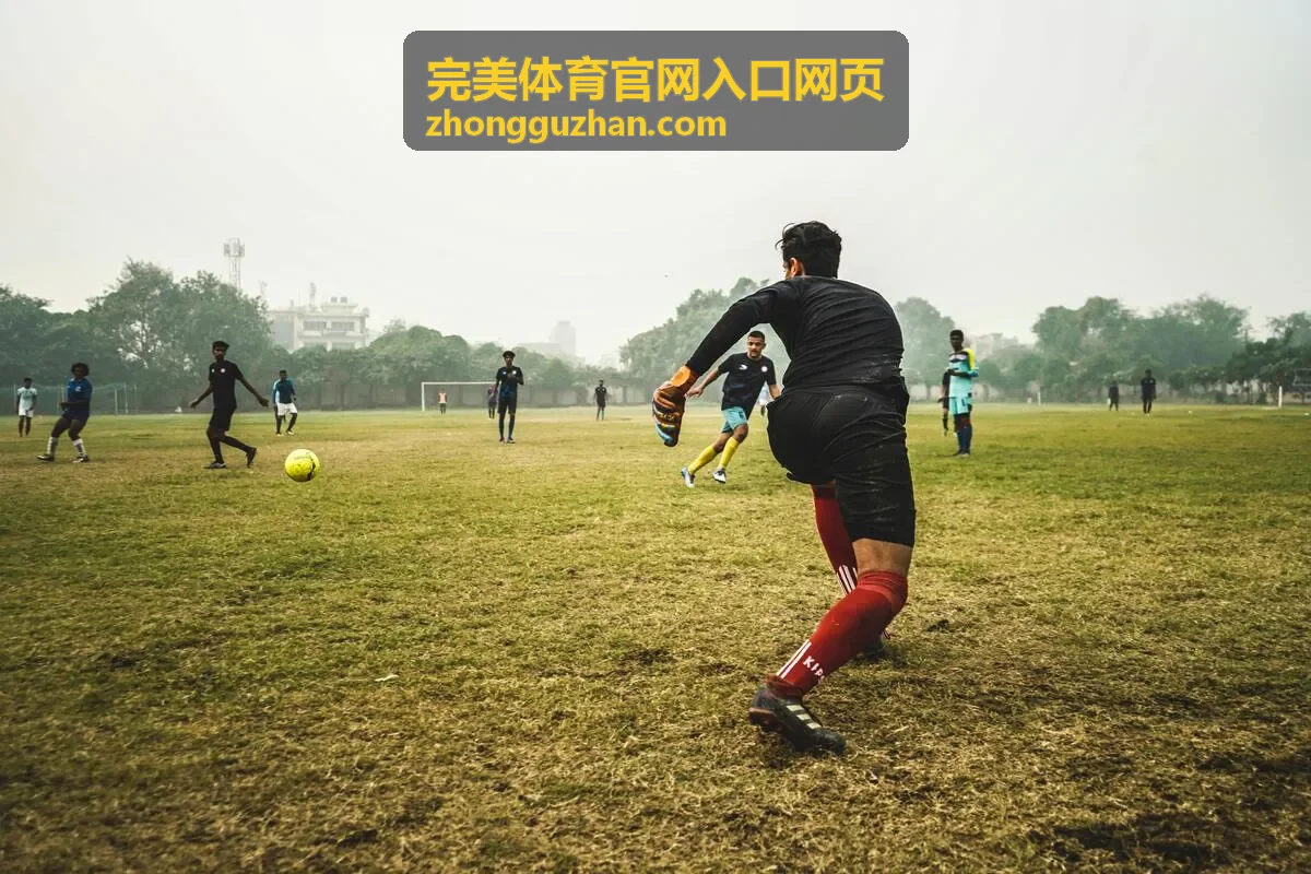 完美体育官网入口网页 乒乓球单打淘汰轮入口封面